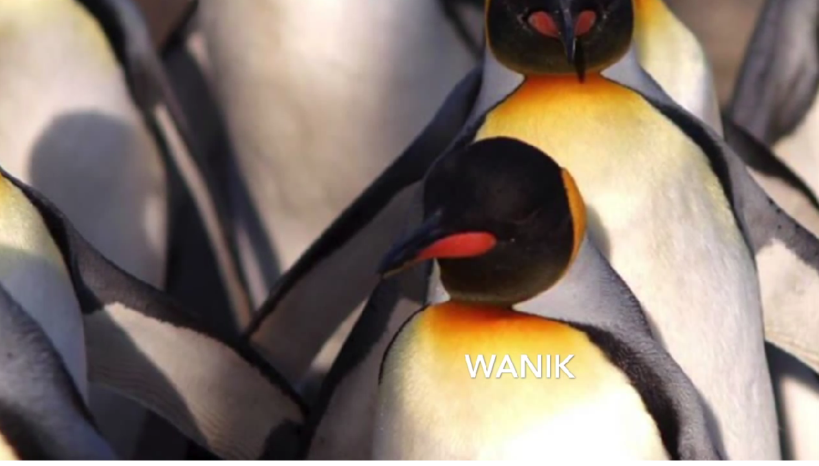 Wanik los protectores de la vida